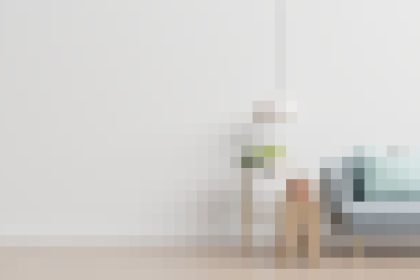 Small dog sitting on the floor beside a pale gray sofa in a bright, minimal living room.