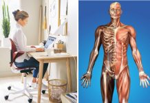 როგორ ავირიდოთ თავიდან ძვალ-სახსროვანი დარღვევები ინტერიერში – ერგონომიკული რჩევა თქვენი ჯანმრთელობისთვის