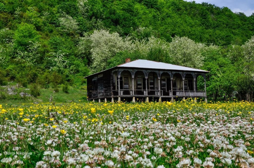 გაზაფხულის სურნელი და აყვავებული ბუნება სამეგრელოში