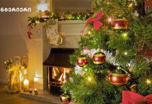 5 რჩევა, თუ როგორ უნდა მორთოთ ნაძვის ხე