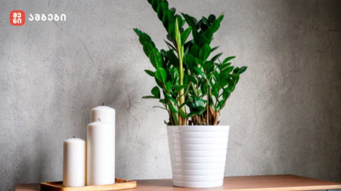 050F0AA1-D81B-4FF2-8B83-542B089B9358