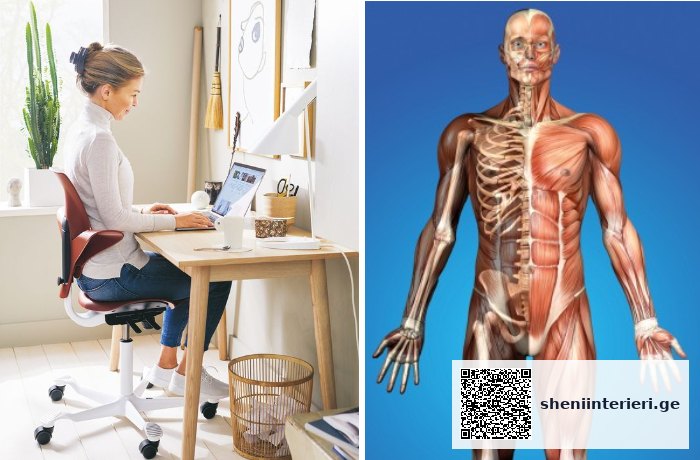 როგორ ავირიდოთ თავიდან ძვალ-სახსროვანი დარღვევები ინტერიერში – ერგონომიკული რჩევა თქვენი ჯანმრთელობისთვის | შენი ინტერიერი