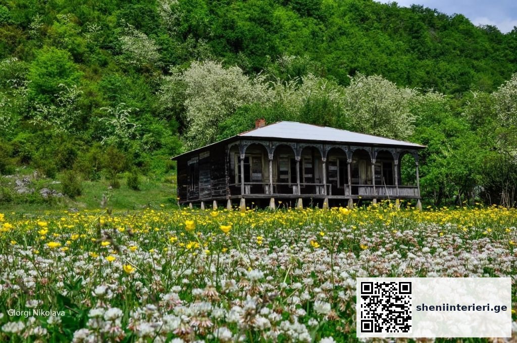 გაზაფხულის სურნელი და აყვავებული ბუნება სამეგრელოში | შენი ინტერიერი