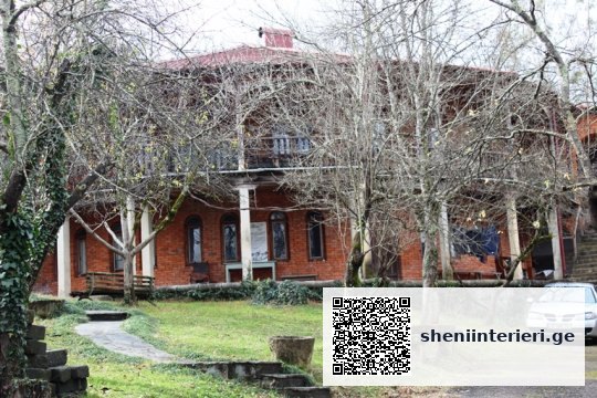 ოტია იოსელიანის არაოფიციალური სახლ-მუზეუმი წყალტუბოში | შენი ინტერიერი